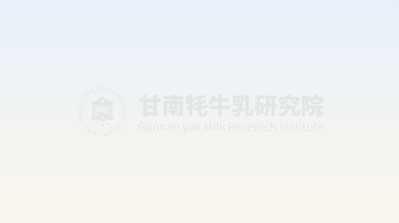 青海兴海县：牦牛奶香飘出产业致富路