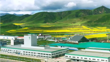 华羚牦牛乳品源于自然 精于品质