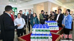 海外华媒甘南行：科技赋能，乳香越重洋