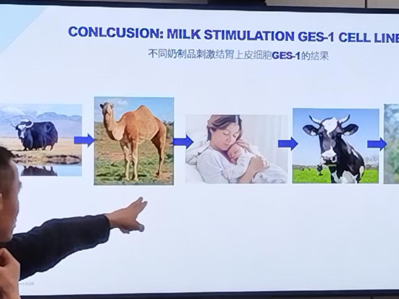 华羚集团与荷兰伊拉斯姆斯大学深化国际合作