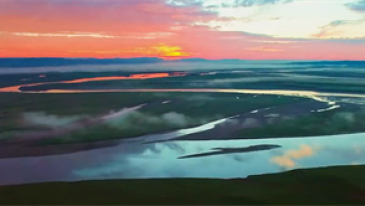 华玲牦牛乳品源于自然 精于品质