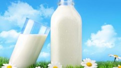 发酵法生产乳蛋白替代品